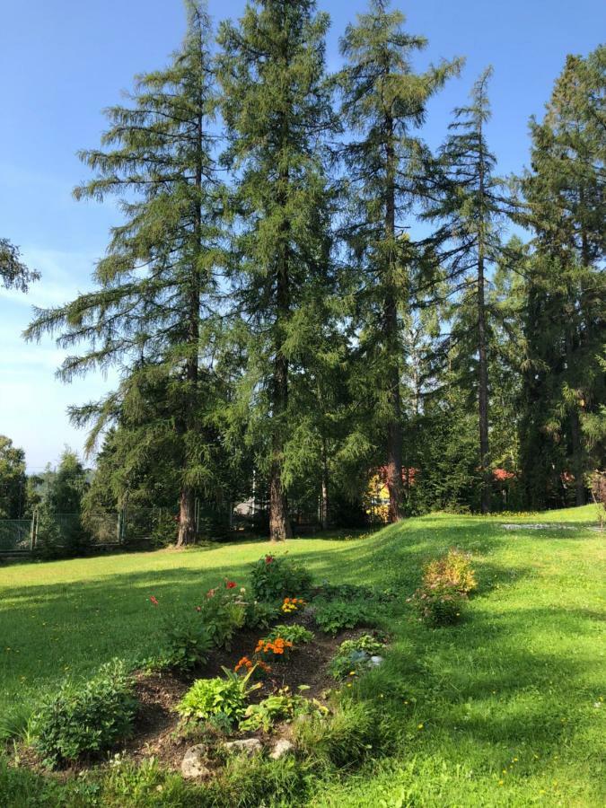 Vila Horec, Vysne Hagy Vysoké Tatry エクステリア 写真