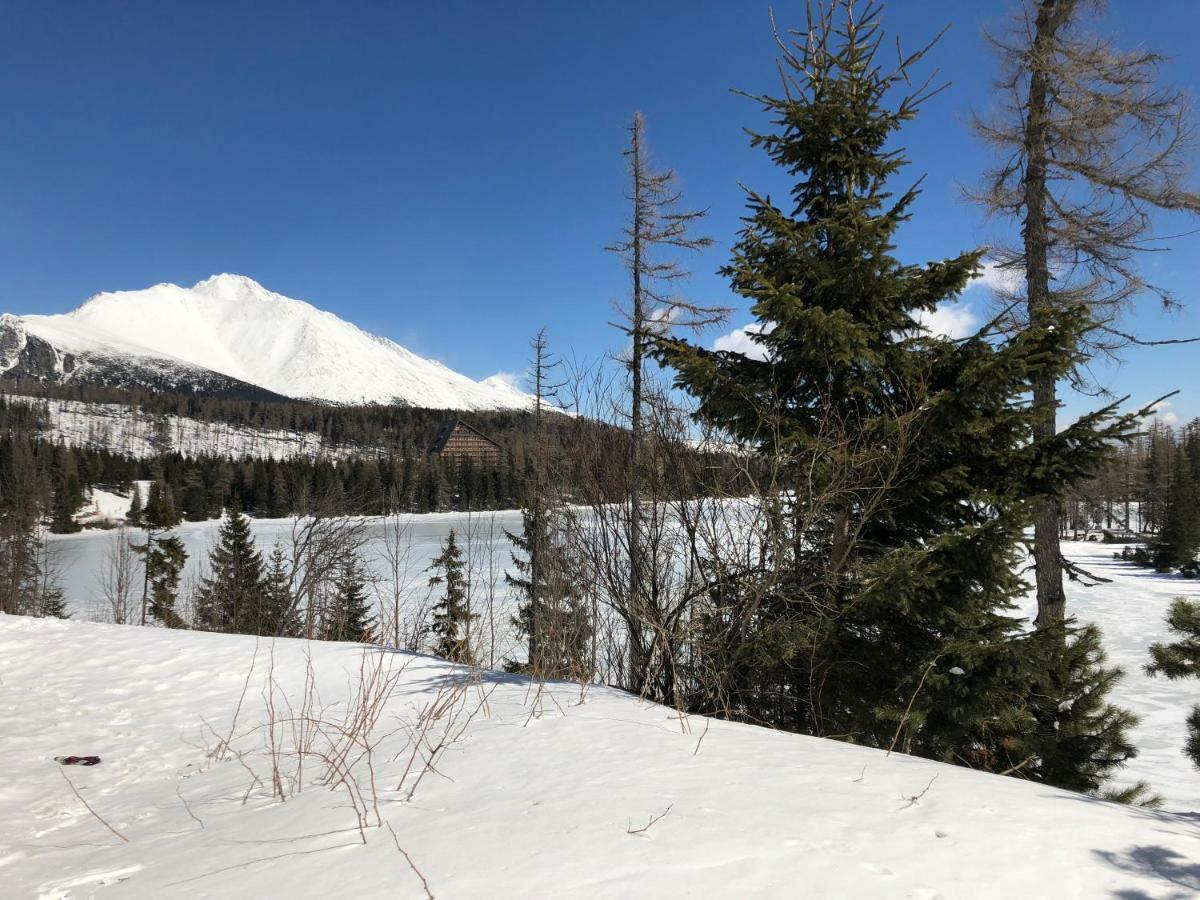 Vila Horec, Vysne Hagy Vysoké Tatry エクステリア 写真